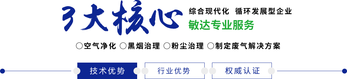 看免费操大逼敏达环保科技（嘉兴）有限公司